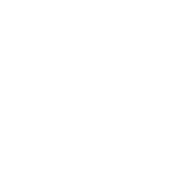 Programing Solution Icon Hover